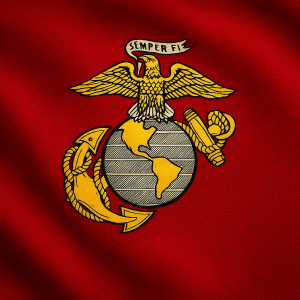 2 x 3 Endura Nylon Marine Flag w/grommets